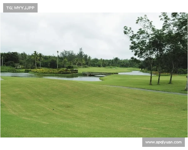 全国高尔夫球场迎暑期改造潮 深圳观澜湖果岭全面升级提升体验
