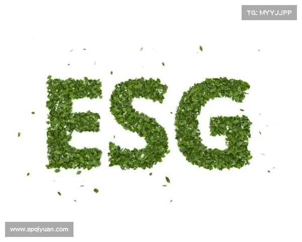 维特尔加码环保事业 投资可持续航空燃料推动绿色未来 维特尔加码环保事业 投资可持续航空燃料推动绿色未来